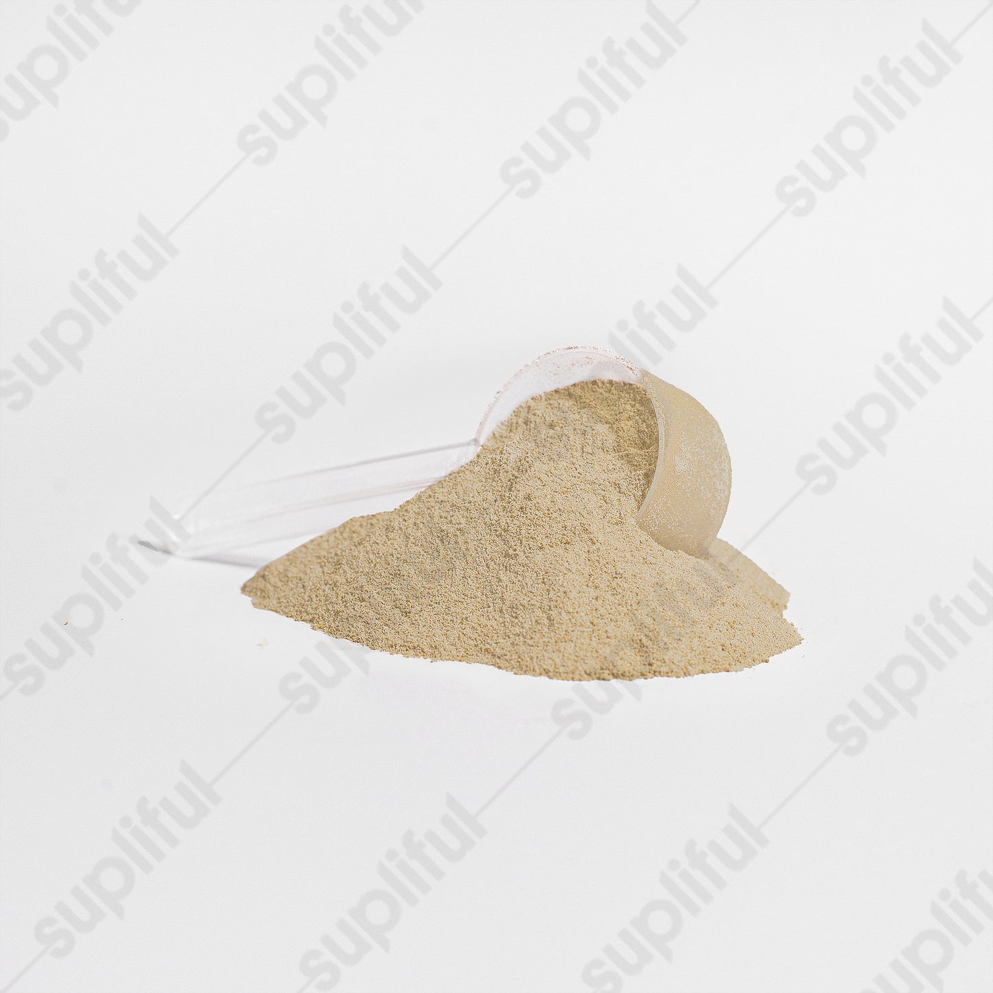 ADVANCED 100% WHEY PROTEIN ISOLATE (VANILLA)